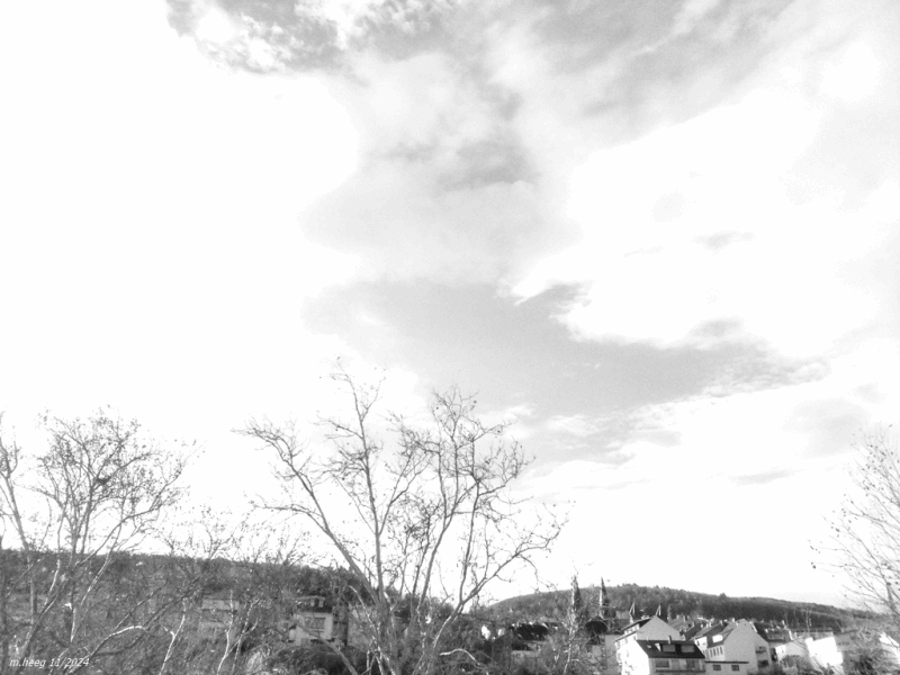 Tageshimmel mit Raspberry NOIR Kamera