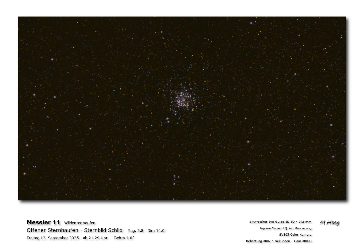 Der Wildentenhaufen im Sternbid Schild.