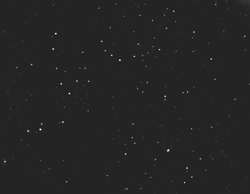 Foto.-Magnitude-Animation Animation